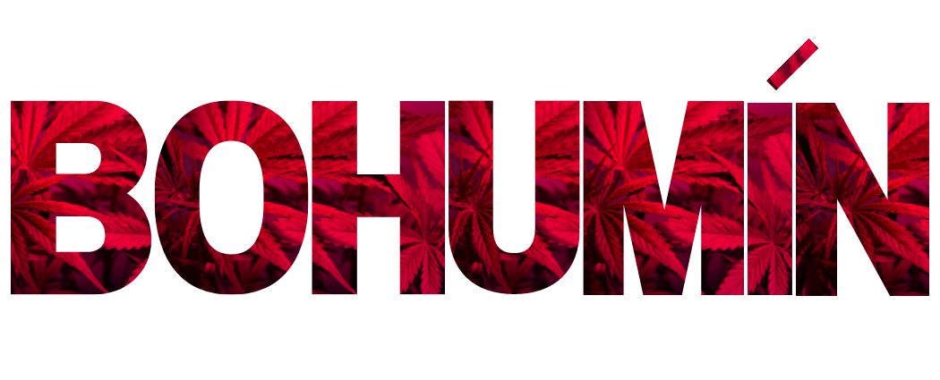 hhc bohumin